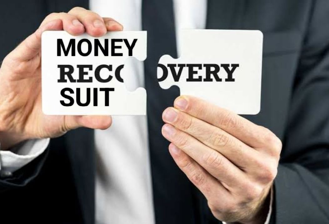 recovery suit lawyer in tis hazari court
