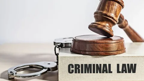 criminal lawyer in tis hazari court delhi